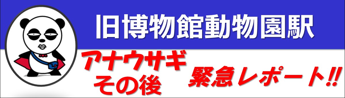 アナウサギその後 緊急レポート!!