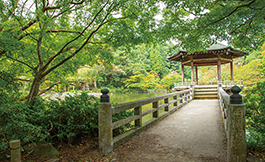 成田山新胜寺