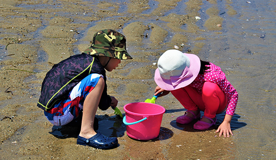 Egawa Coast Clam Digging