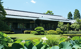 Shibamata Taishakuten Temple