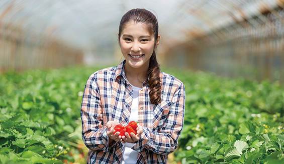 Naruto Area Strawberry Picking Spots