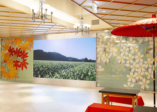 Tea Culture Museum: Admission Ticket